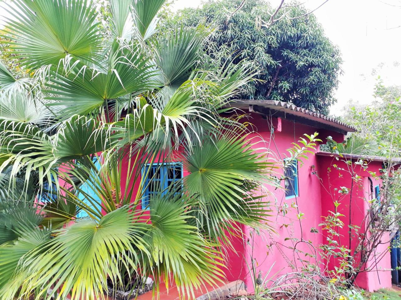 Casa Maya Santa Catalina Exterior photo
